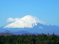茅ヶ崎海岸から見た富士山と松林